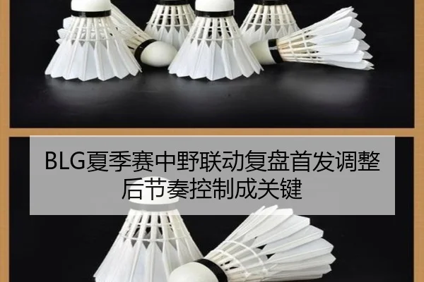 BLG夏季赛中野联动复盘首发调整后节奏控制成关键